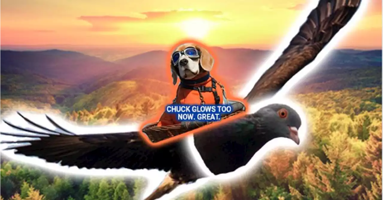 Why a government agency is spreading memes about dogs riding pigeons