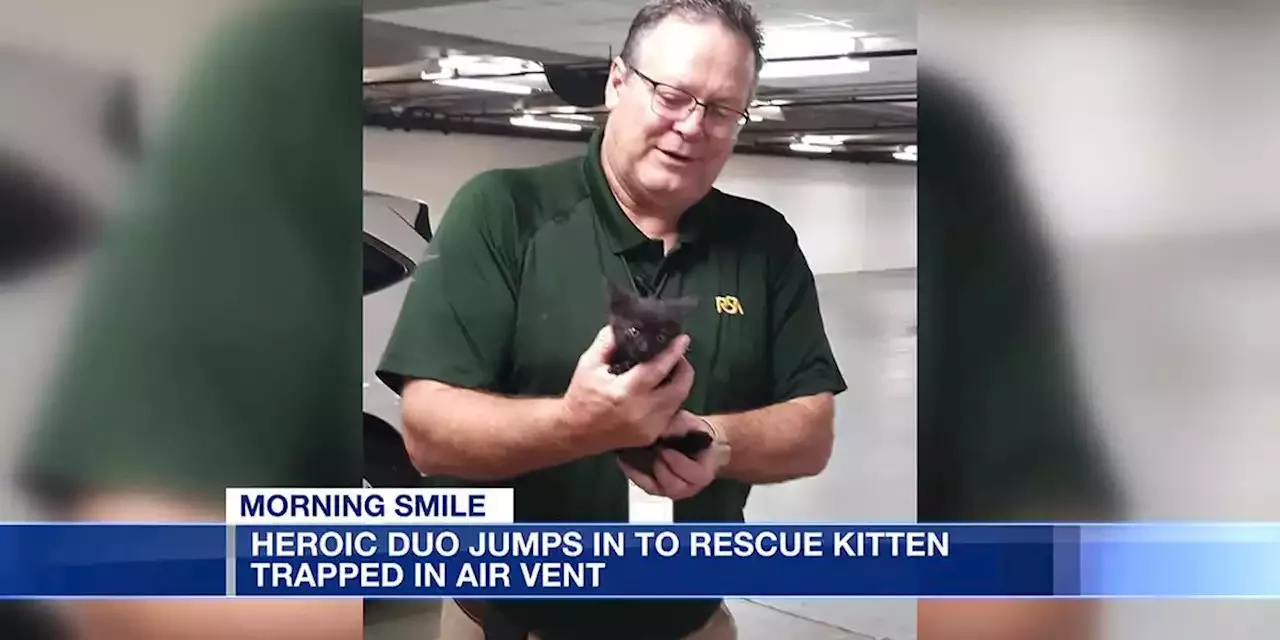 Morning Smile: Heroic duo jumps in to rescue kitten trapped in air vent