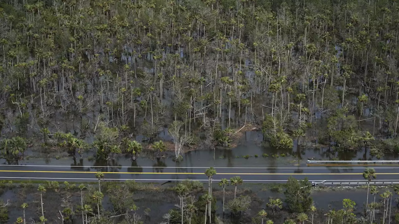 Florida agriculture losses between $78M and $371M from Hurricane Idalia, preliminary estimate says