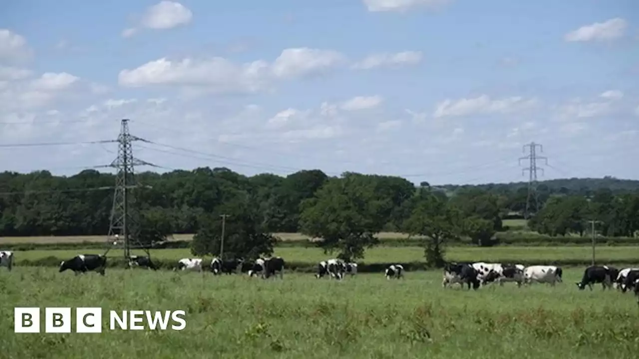 Consultation over Wales to Shropshire power line plans