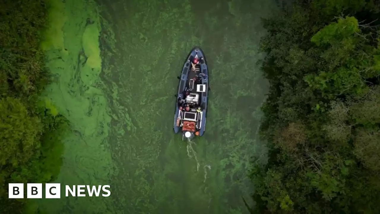 Lough Neagh: Public meeting calls for action over algal blooms