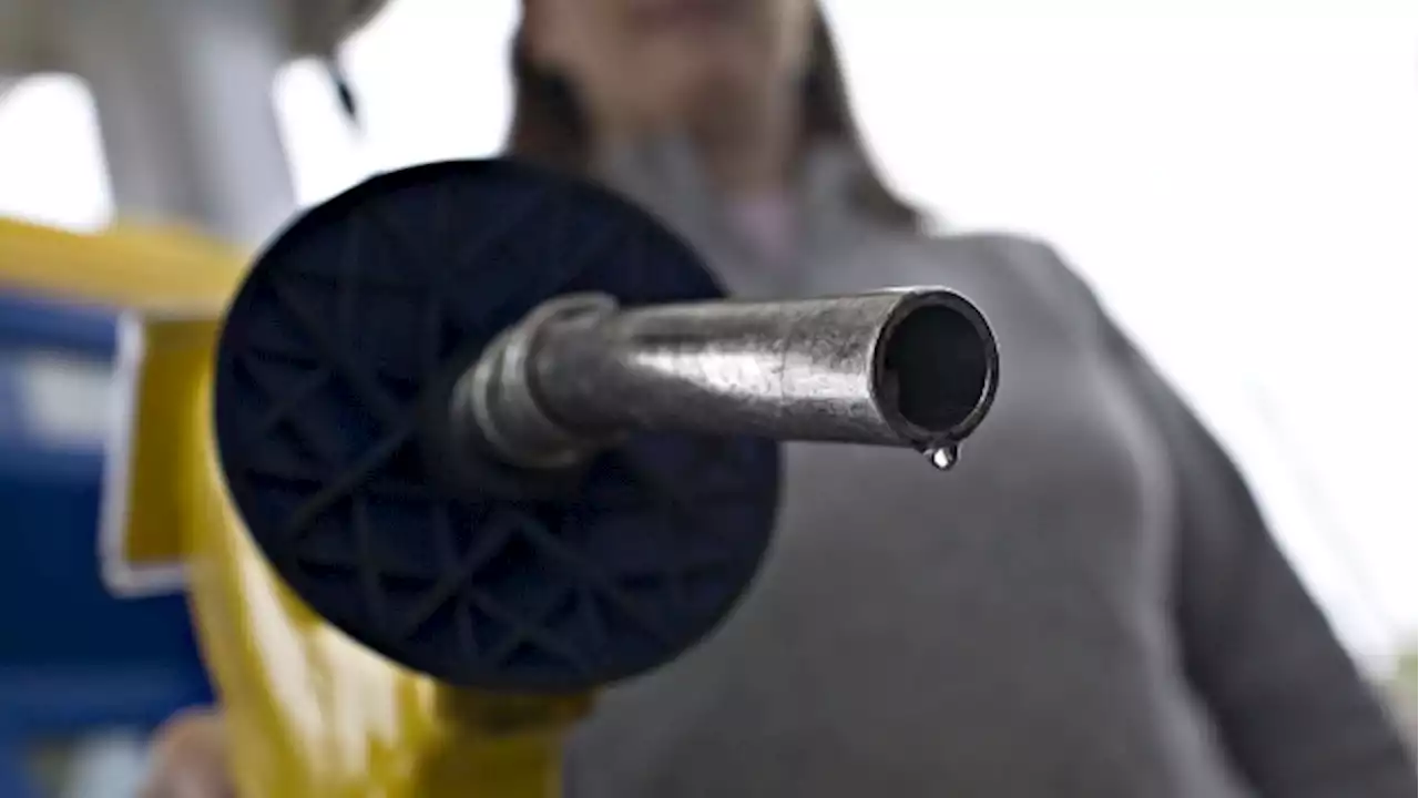 EPA’s Own Scientists Warn Ethanol Might Not Be Green Enough