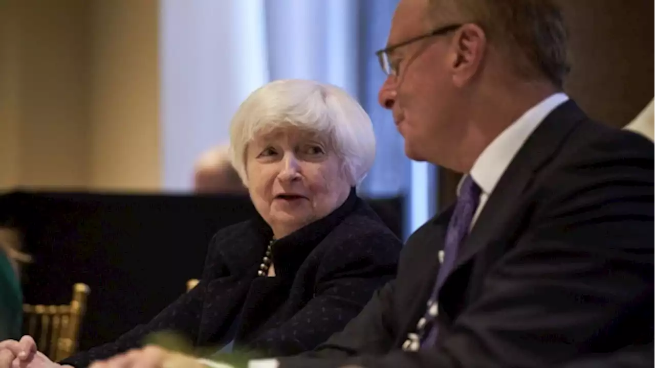 Yellen Signals Support for Windfall Tax on Frozen Russian Assets