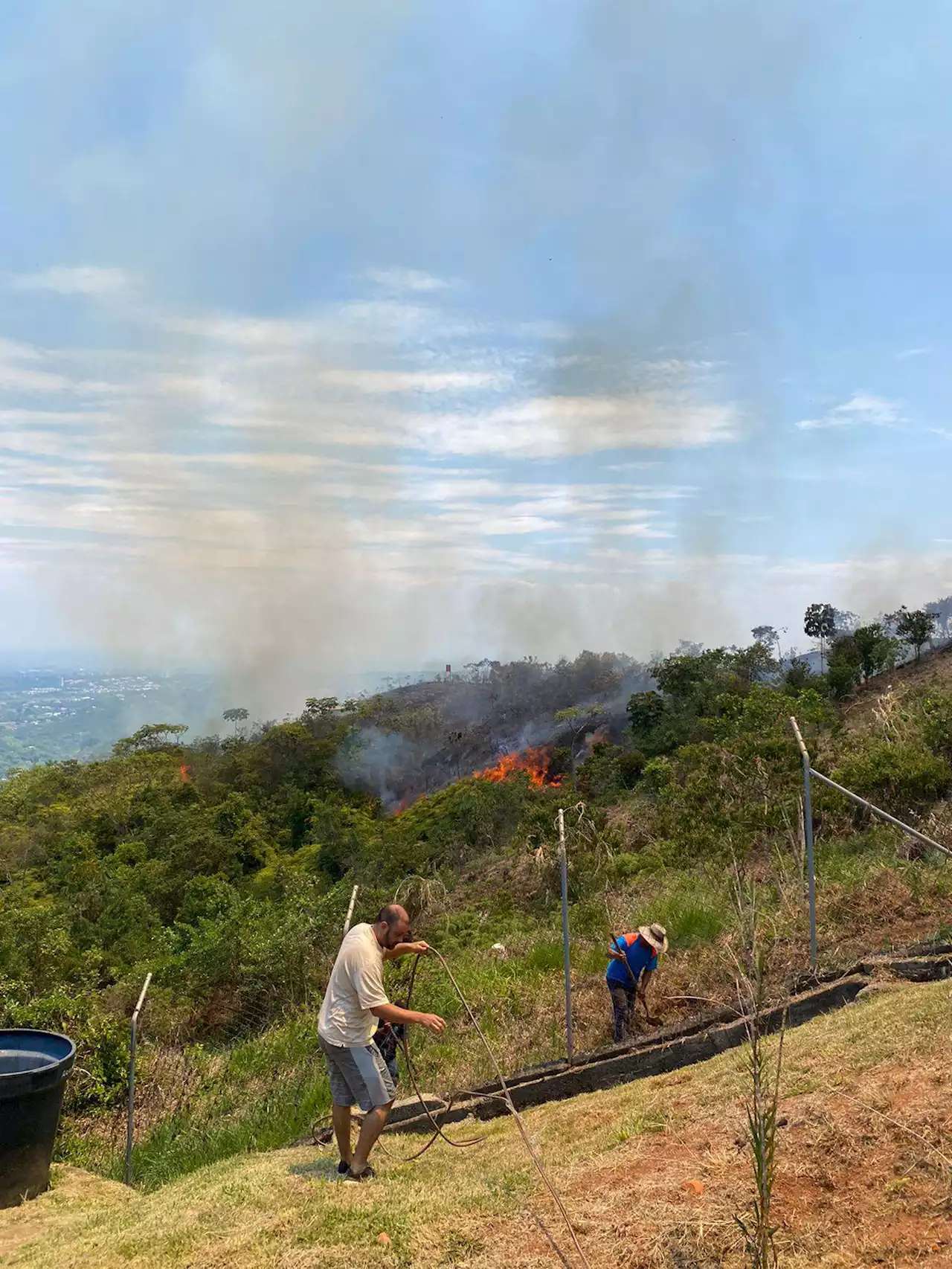 Tres incendios forestales se registran este jueves en Cali