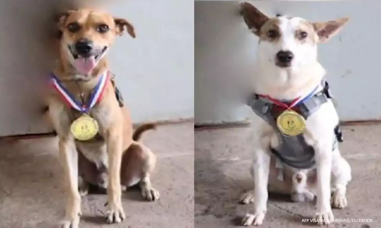 2 tracking dogs in Visayas awarded for service