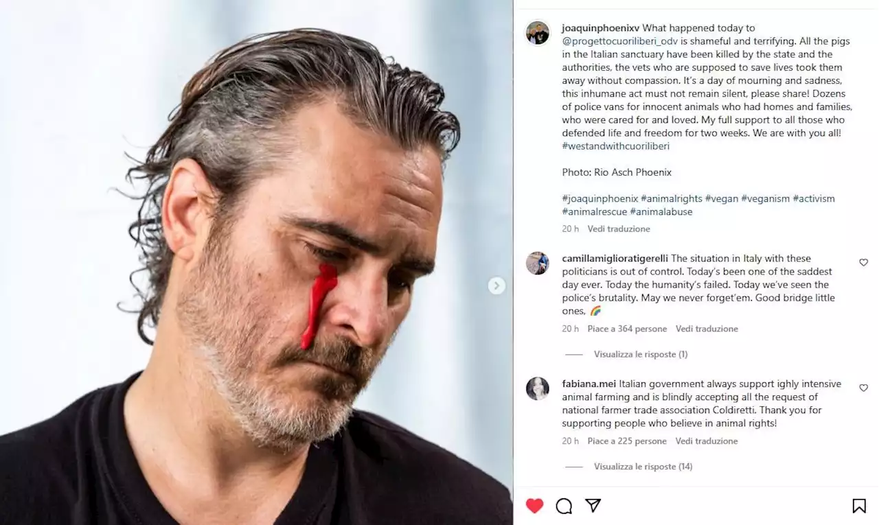 Joaquin Phoenix versa una lacrima di sangue per la strage dei maiali del rifugio Cuori Liberi