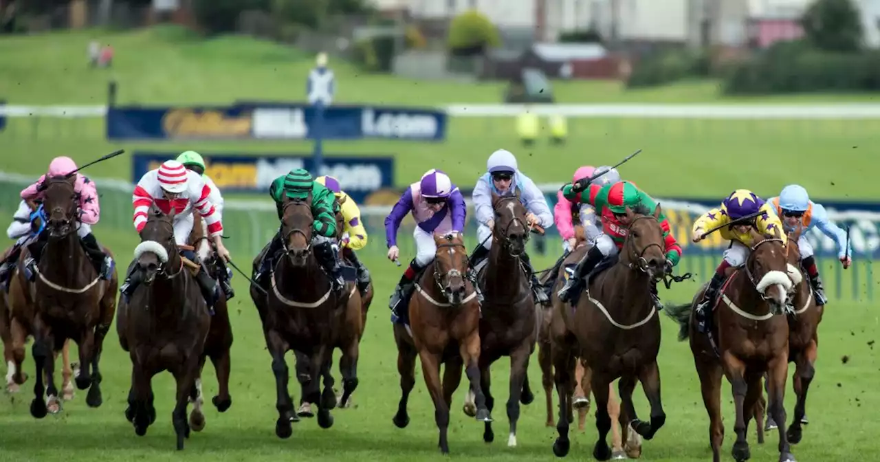 Ayr Gold Cup Festival Day 1 tips