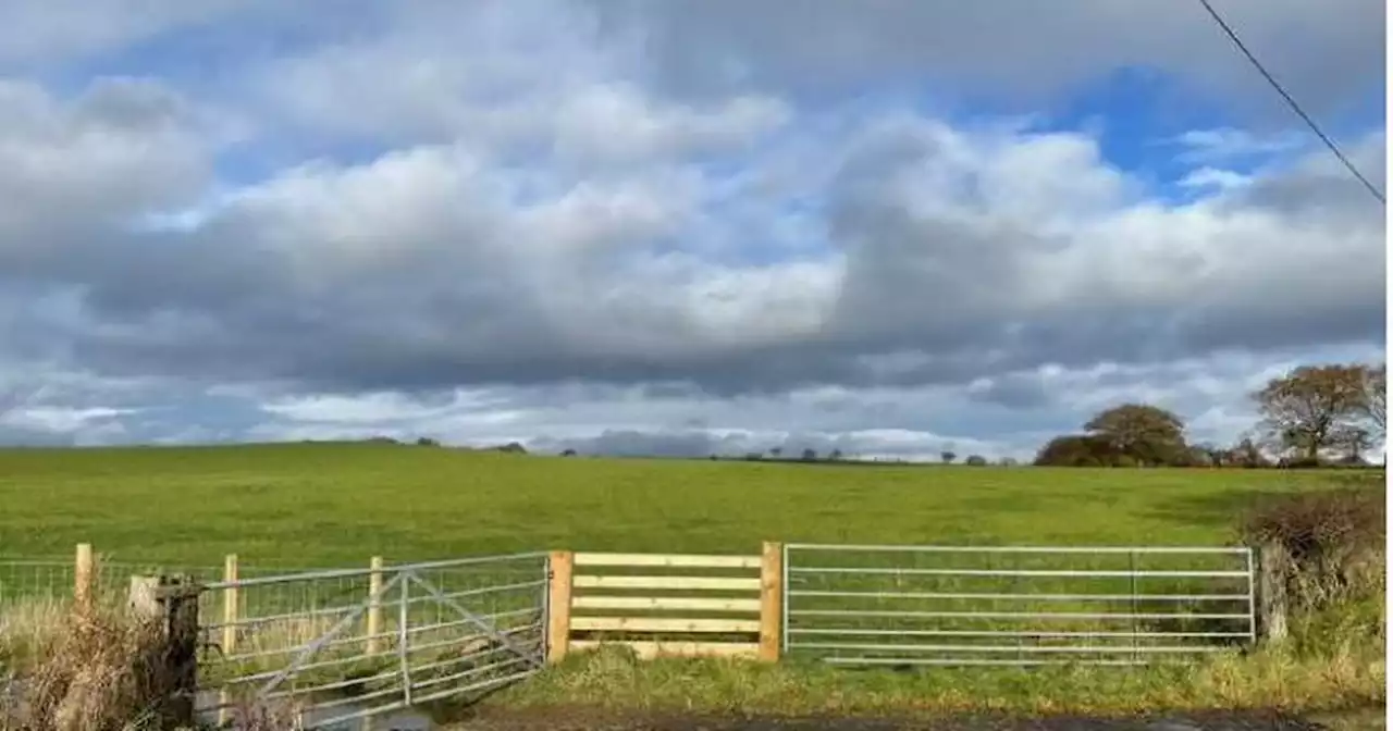 Unique recovery centre for pets gets green light from Falkirk Council