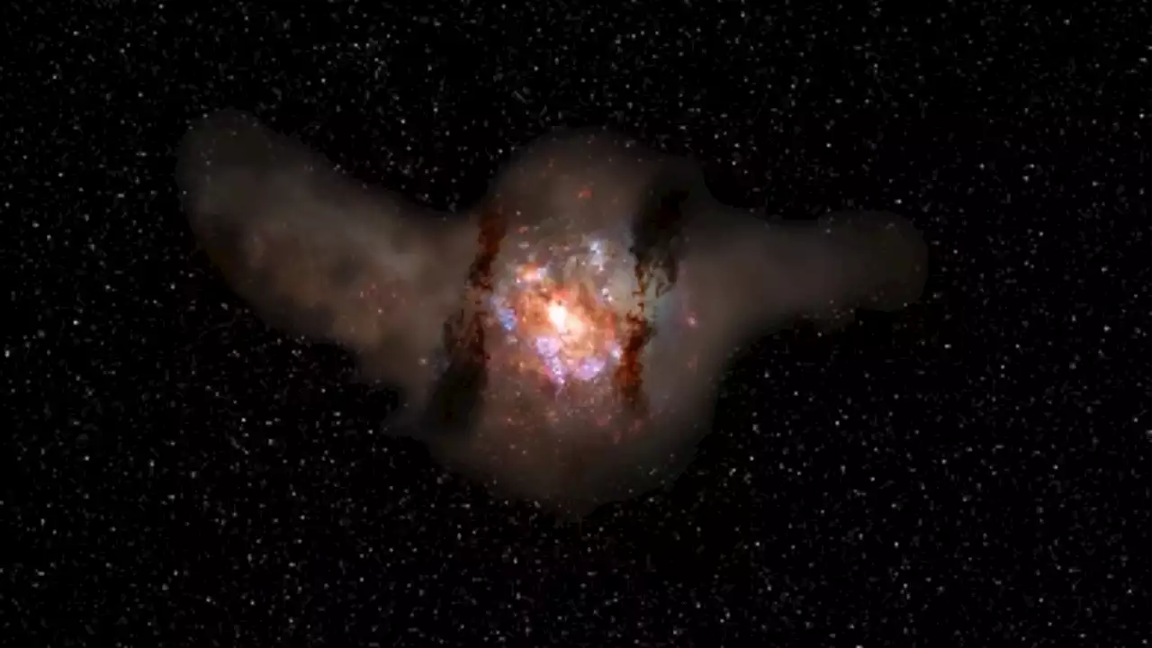 ALMA and Webb study universe's farthest galaxy protocluster