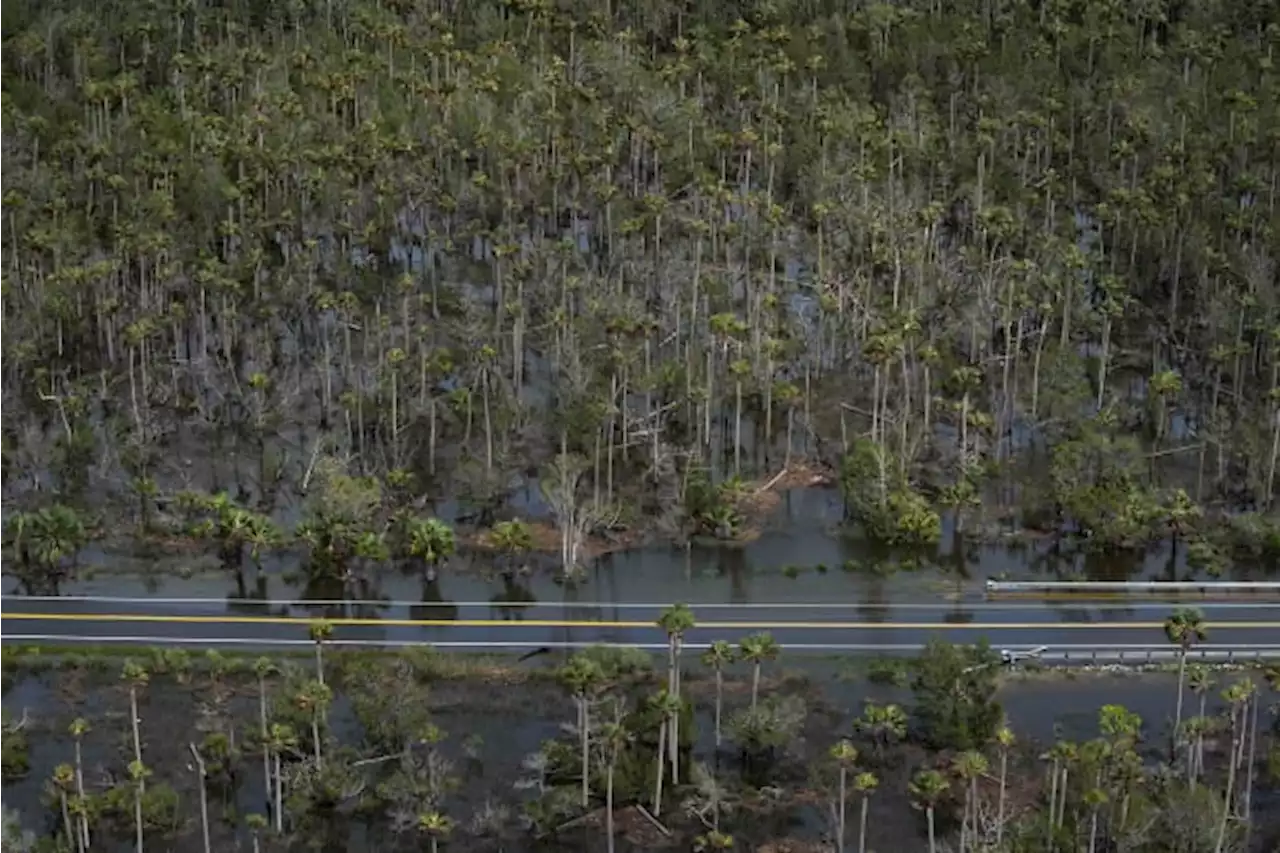 Florida agriculture losses between $78M and $371M from Hurricane Idalia, preliminary estimate says