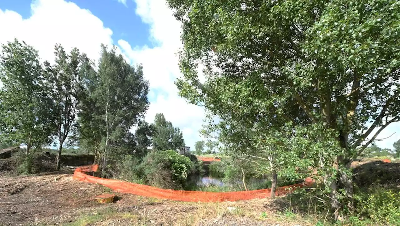 Site de l'usine AZF à Toulouse : un projet pour les terrains en friche