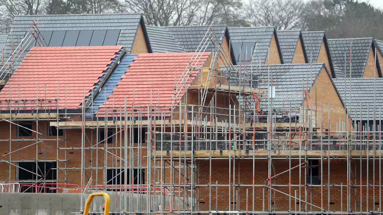 Housing and environment targets ‘at risk due to haphazard Government approach’