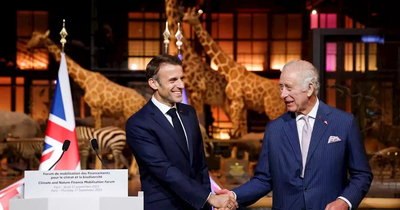 Visite de Charles III : les Français saluent l’accueil réservé au roi par Emmanuel Macron