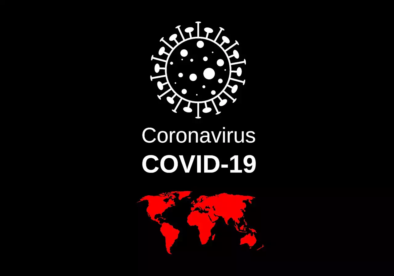 Australia probes COVID-19 response