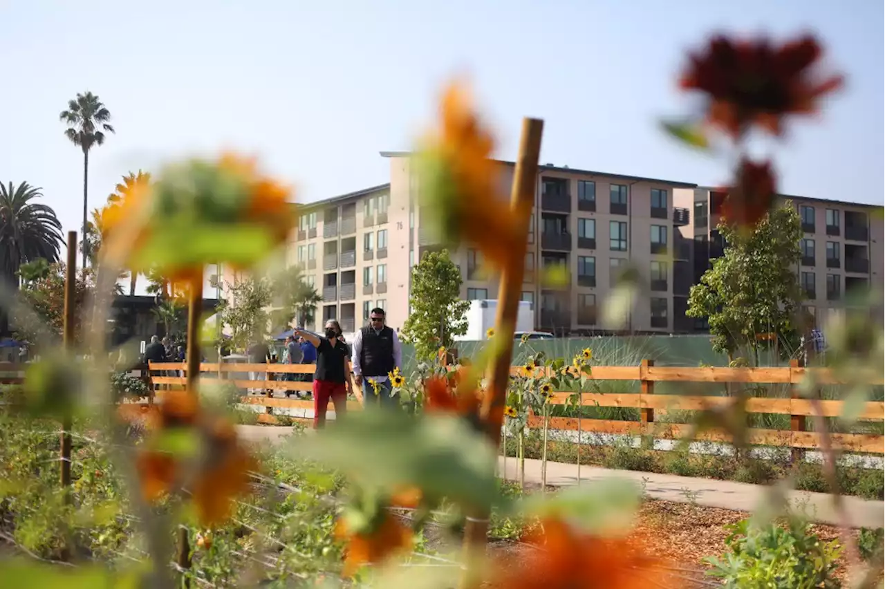 Agrihood: Combined affordable senior housing, urban farm welcomes residents in Santa Clara