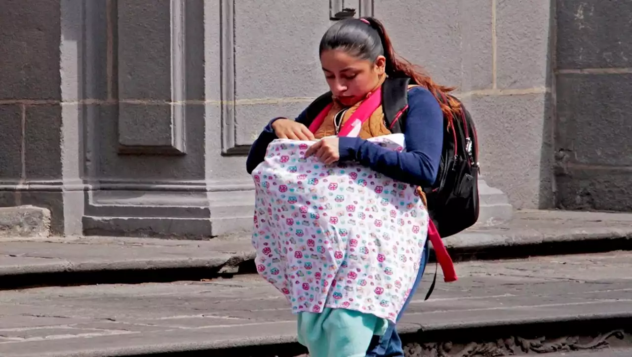 Puebla, con 7 mil 696 adolescentes que son madres: Inegi