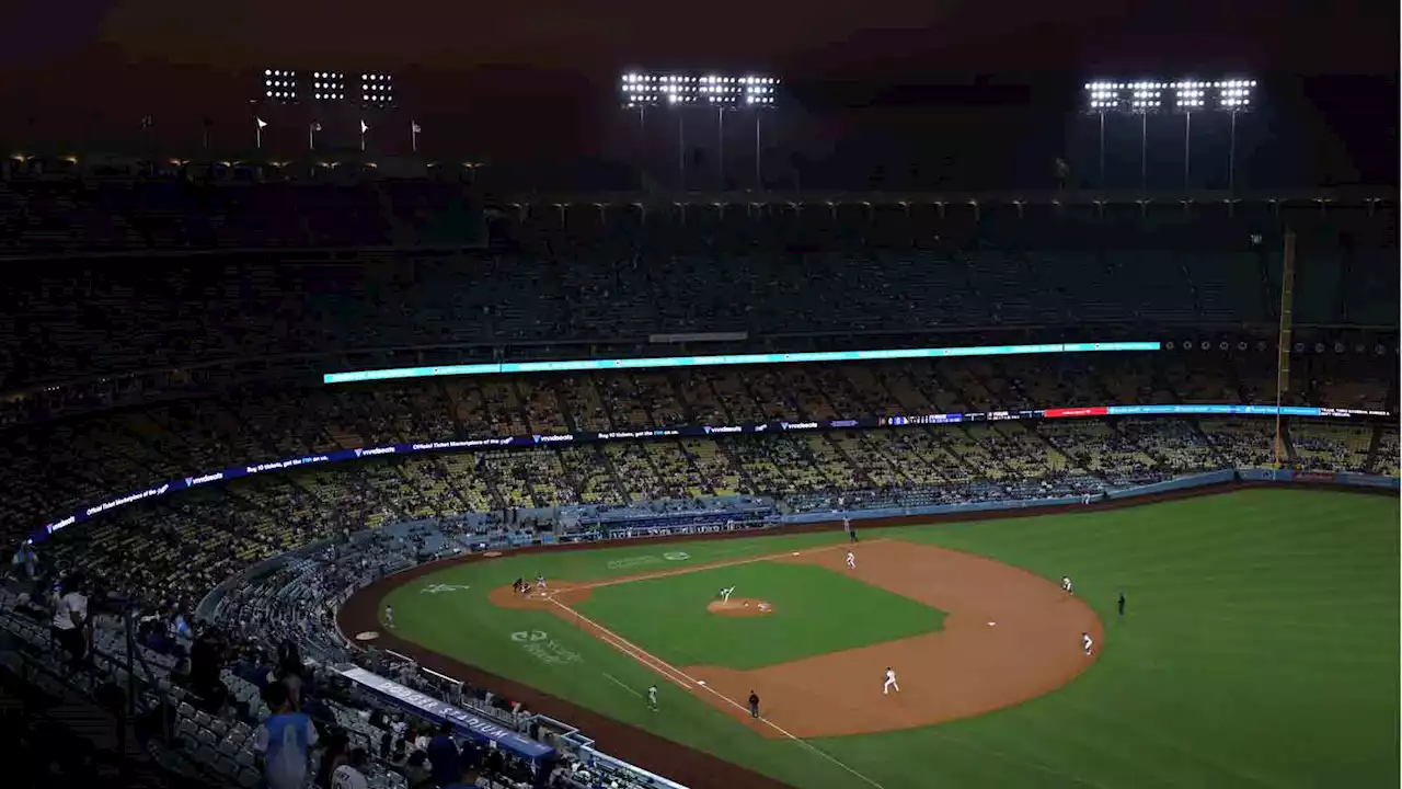 Giant bubble, wild goose fly over field during Dodgers-Tigers game