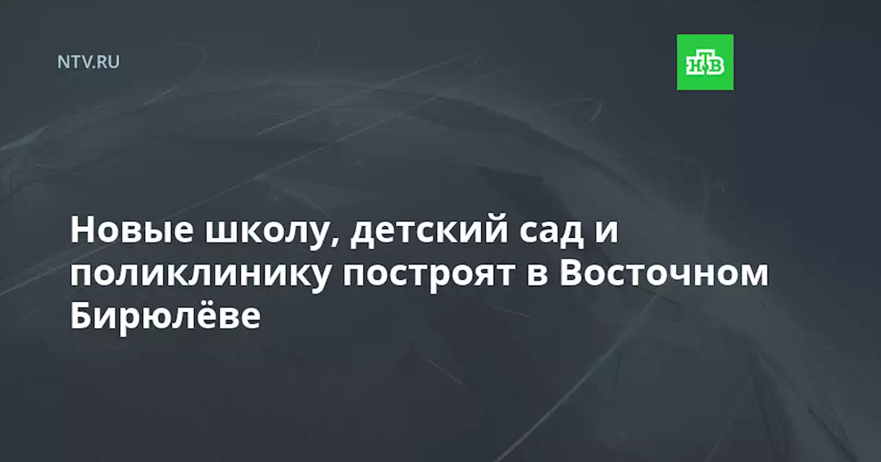 Новые школу, детский сад и поликлинику построят в Восточном Бирюлёве