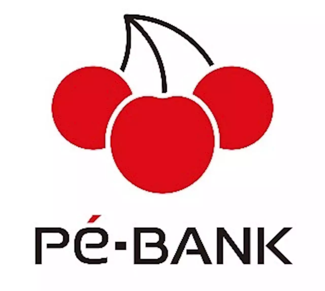 PE-BANK、IT人材の早期退職・セカンドキャリアに関する企業の意識調査を実施