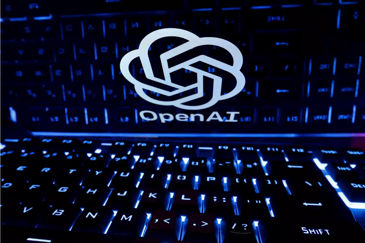 Poland investigates OpenAI over privacy concerns