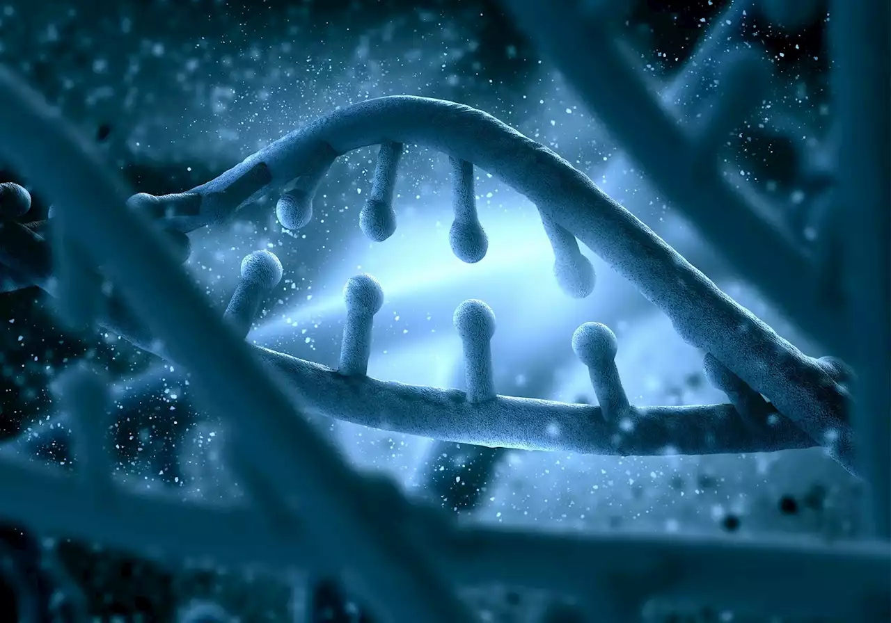 Scientists Discover That the Genes for Learning and Memory Are 650 Million Years Old