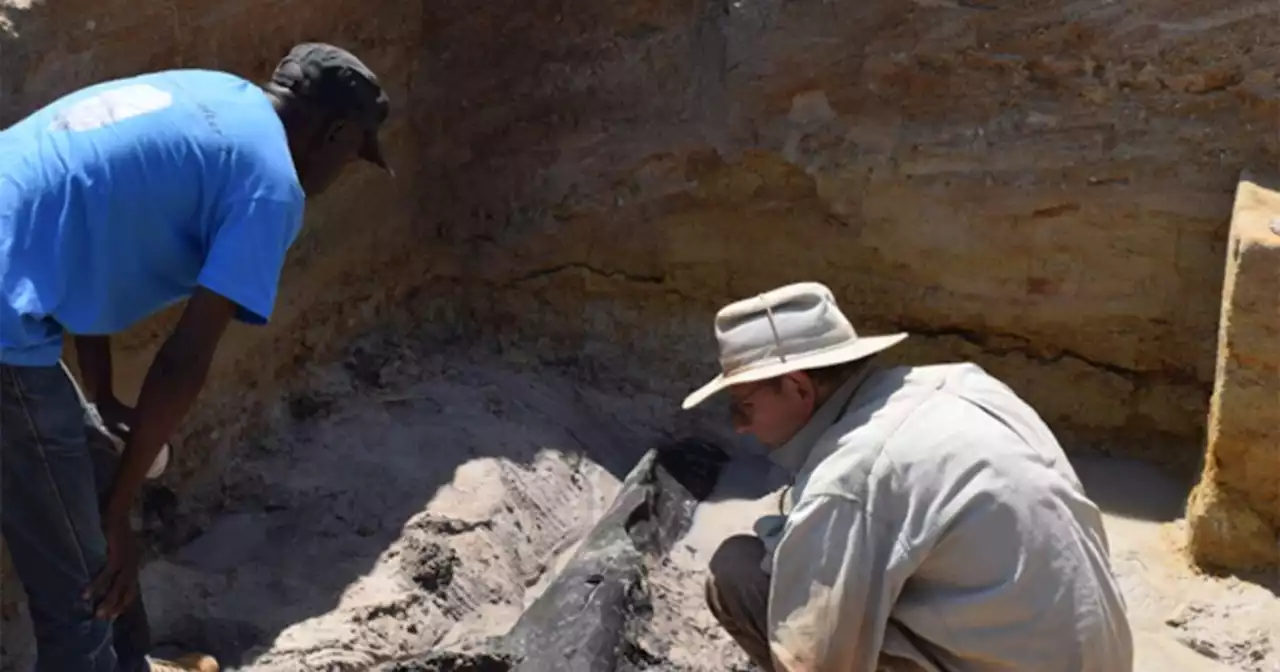 Esta simple estructura de troncos puede ser el ejemplo más antiguo de construcción humana con madera