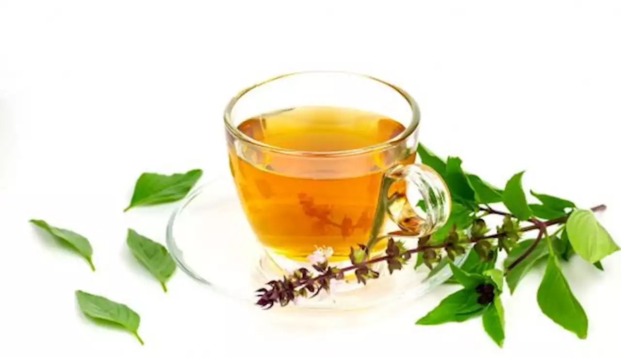 10 Beneficios para deportistas del té tulsi o albahaca sag...