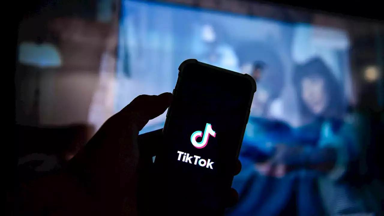 Der Tiktok-Effekt: Studie analysiert die Verstärkung 'asozialen Verhaltens' durch die Video-Plattform