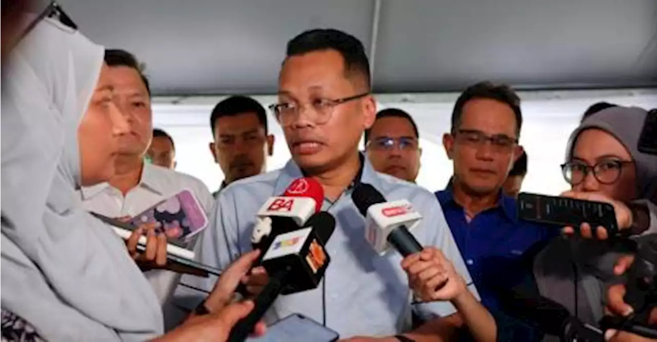 Nik Nazmi: NWRC resorting to artificial insemination to raise Malayan Tiger population