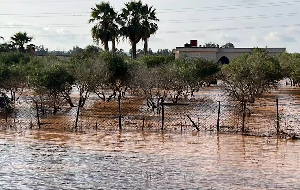 Más de 43.000 desplazados en Libia por las inundaciones, según la OIM