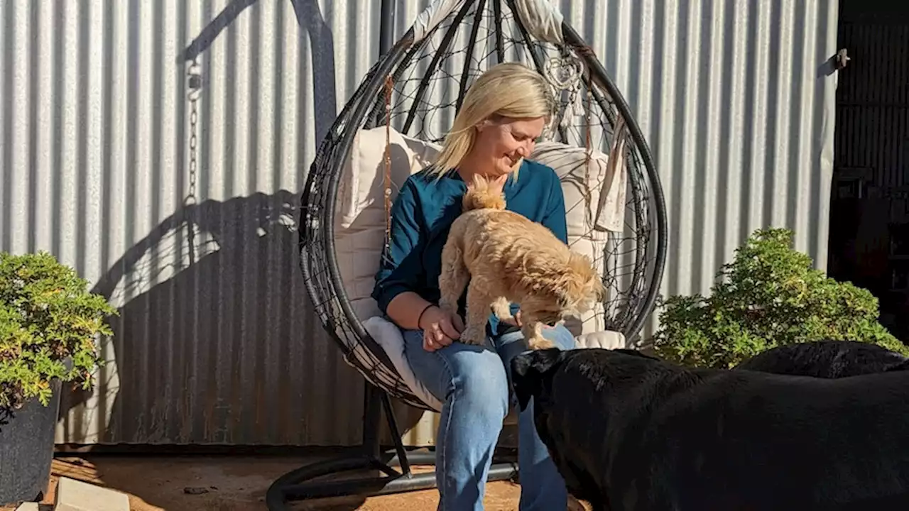 Meet the small rural businesses getting a slice of Australia's multi-billion-dollar pet food market