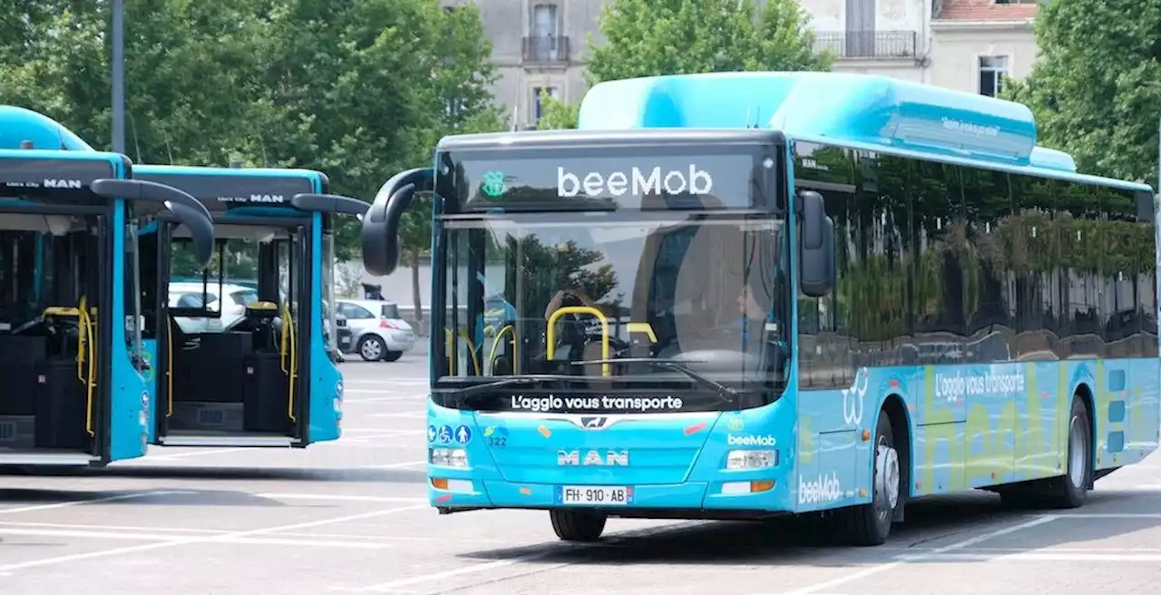 Transports urbains : que contient le rapport sur la gestion de l'Agglo de Béziers ?