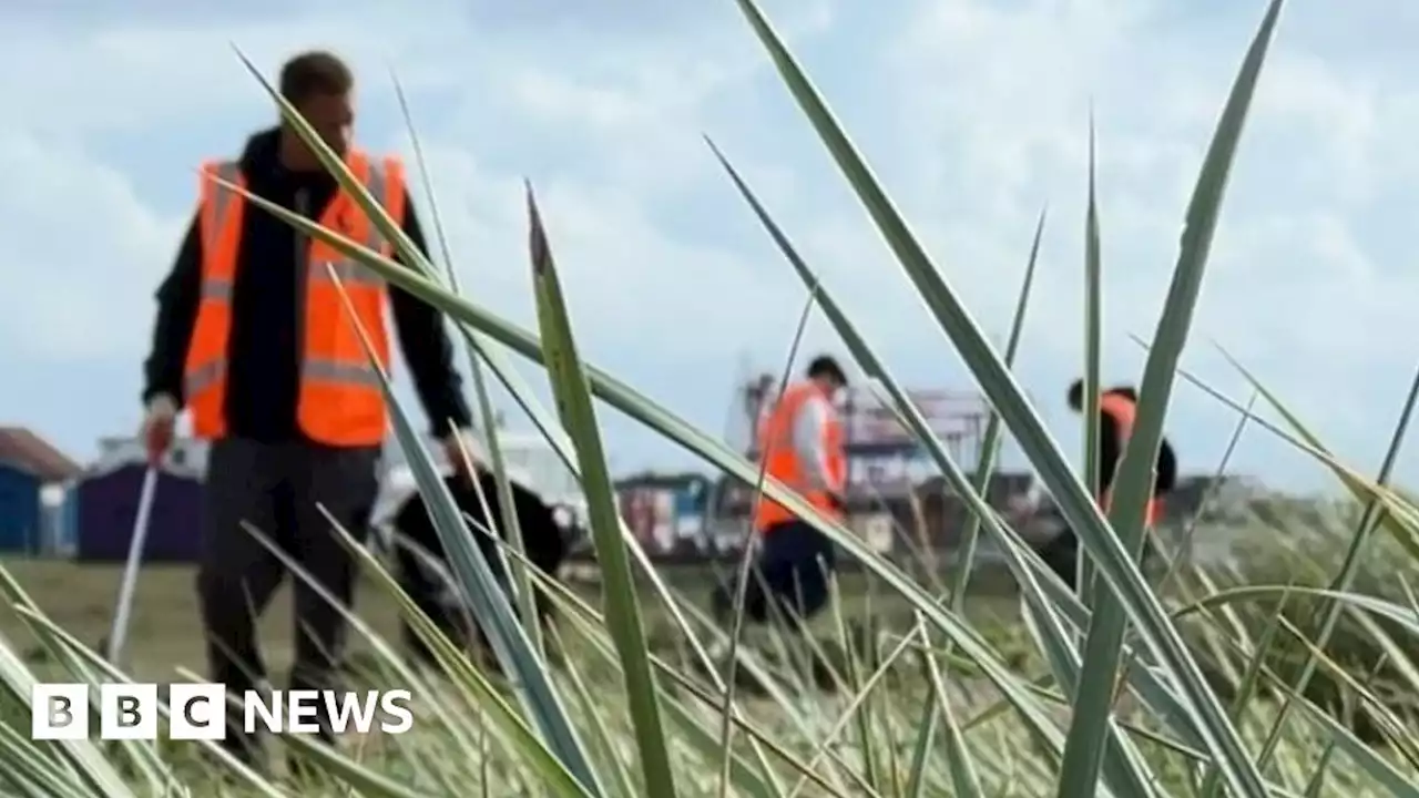 Hayling Island: Criminals choose beach clean over prison