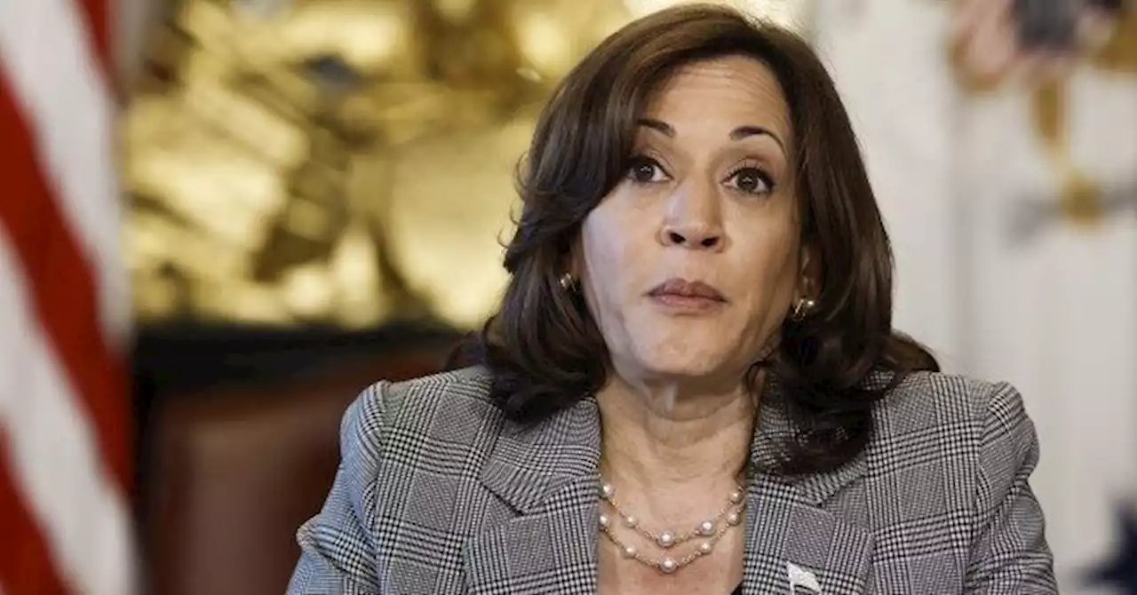 Kamala Harris Becomes Gun Control 'Czar' After Repeated Failures