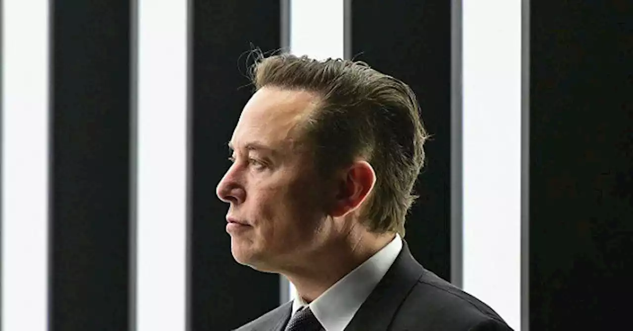 'Serious Concerns:' Elon Musk's Neuralink Faces Scrutiny About Animal Testing and Human Safety