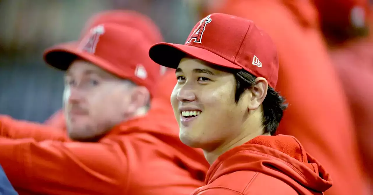 Ohtani undergoes elbow surgery; expected to return to hitting in 2024