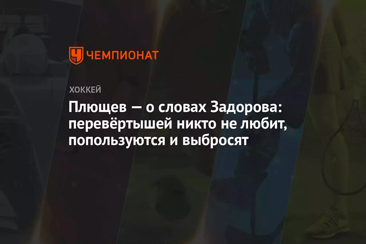 Плющев — о словах Задорова: перевёртышей никто не любит, попользуются и выбросят