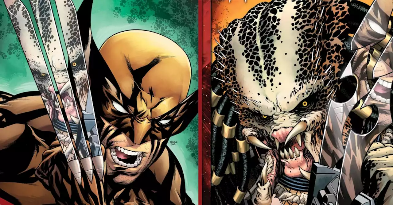 Predator vs Wolverine: Marvel Confirms Winner of Round 1