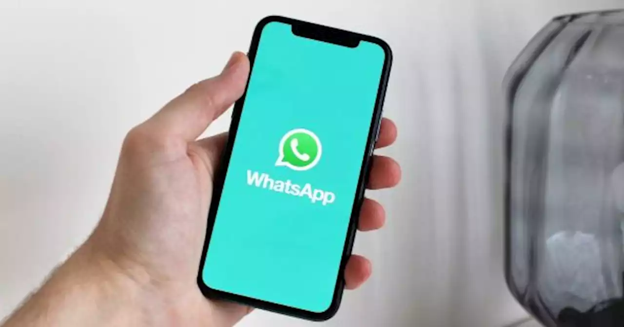 WhatsApp competir� con Mercado Pago: qu� cambia en las pr�ximas semanas