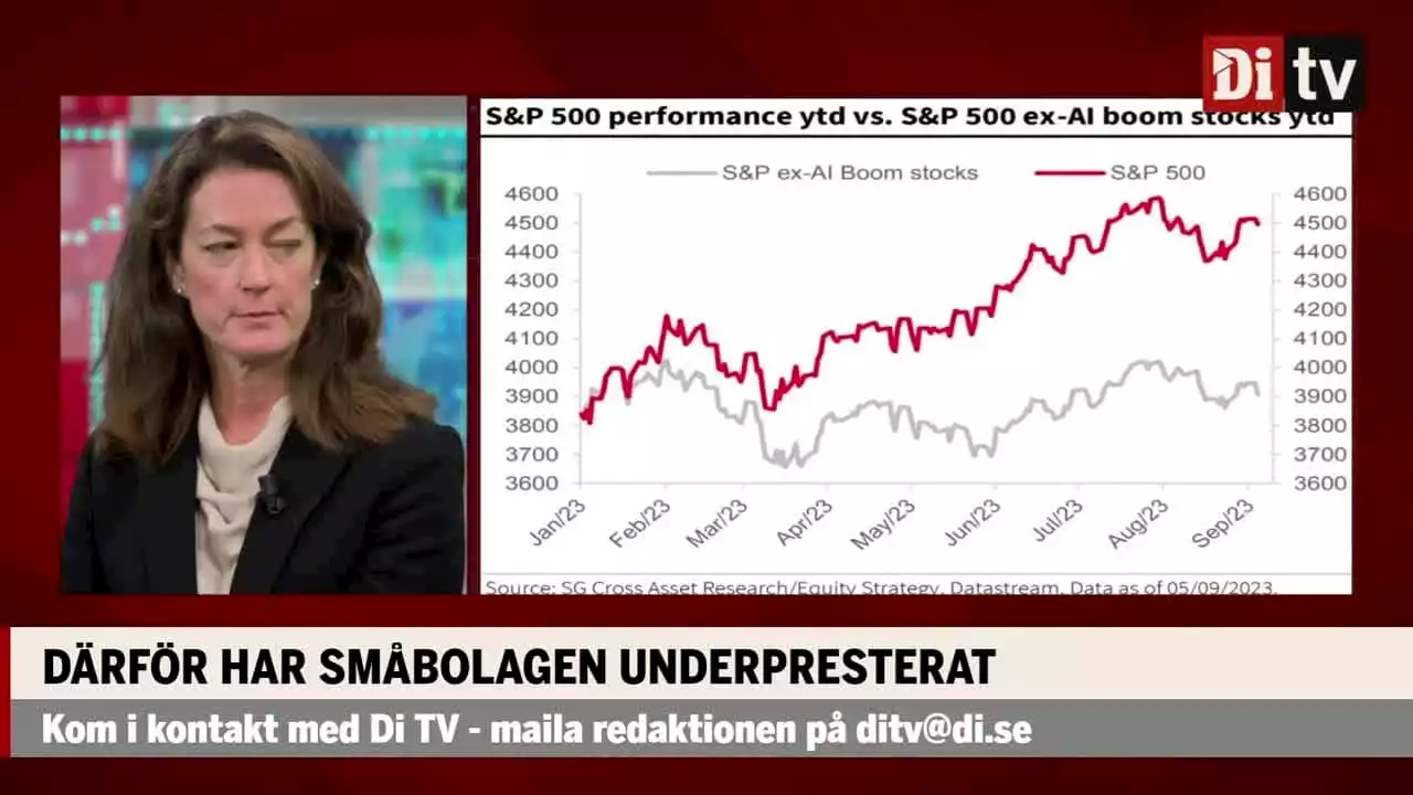 Förvaltaren: AI-boomen har lett uppgången på S&P500