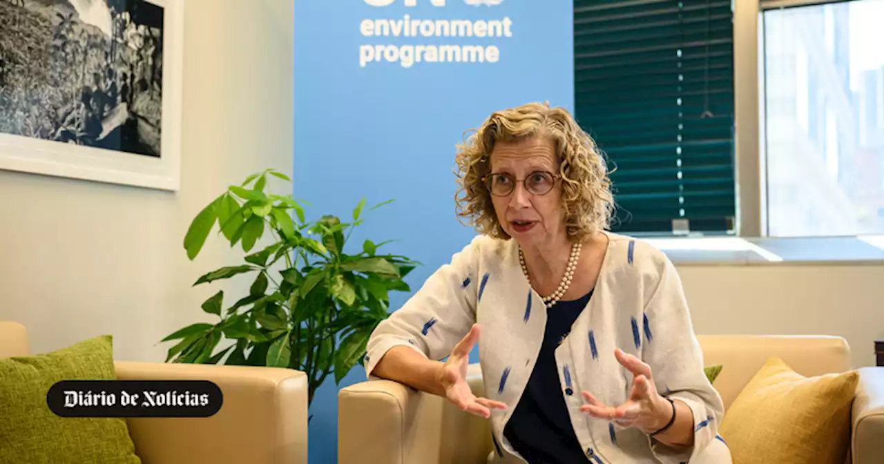 ONU: reciclagem de plástico não será suficiente