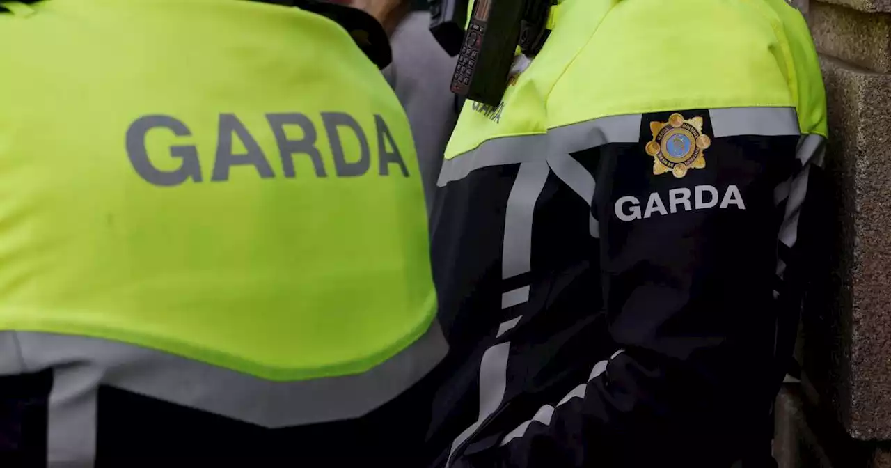 Garda allegedly assaulted after stopping vehicle in central Dublin