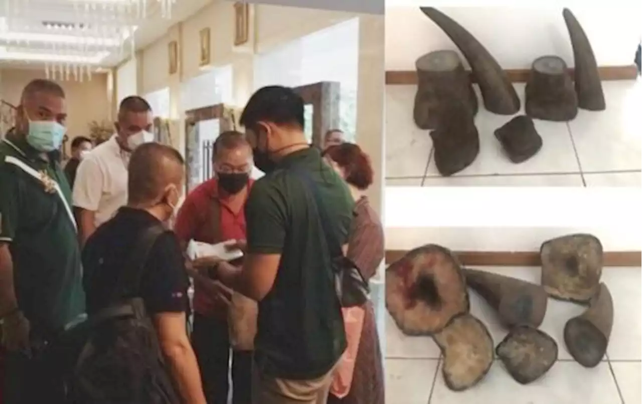 Teo Boon Ching Sentenced to 18 Months for Large Scale Trafficking of Rhinoceros Horns