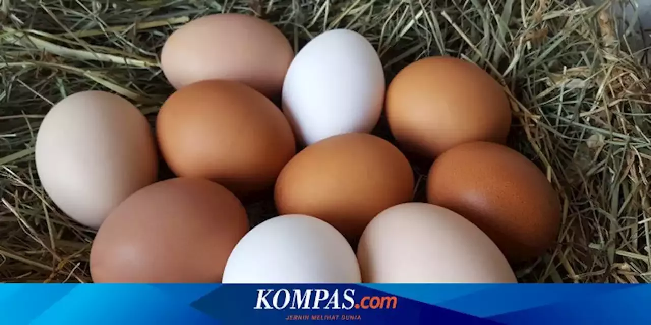 Apa Itu Telur Pasteurisasi yang Bisa Dikonsumsi Mentah?