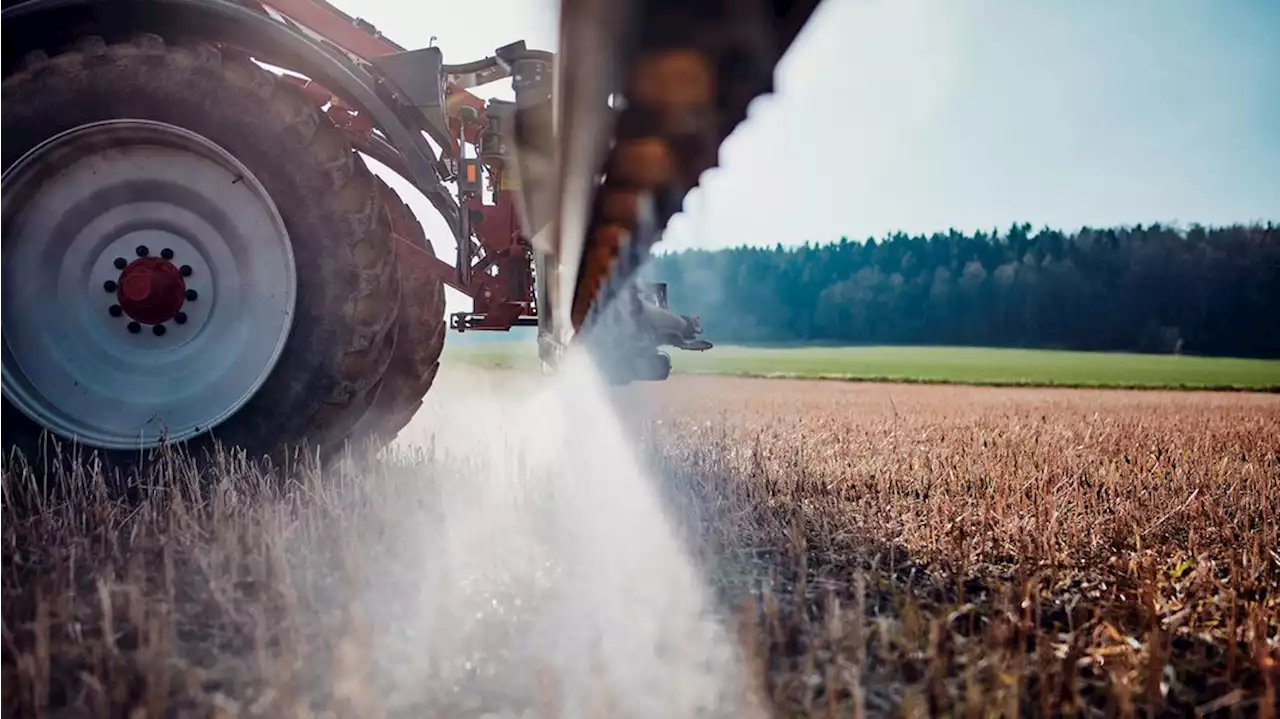 Weitere zehn Jahre Glyphosat? Uneinigkeit in Niedersachsen