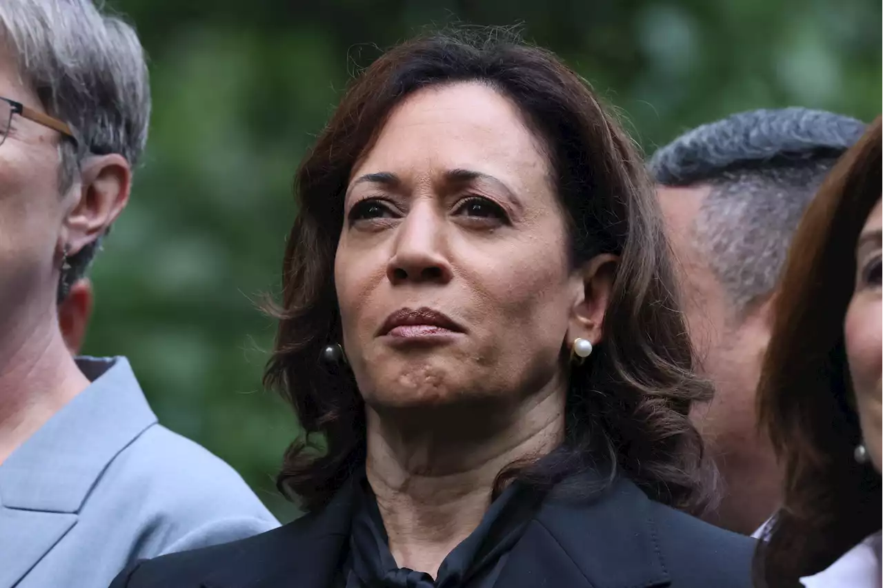 Conservatives slam Kamala Harris' new gun violence position