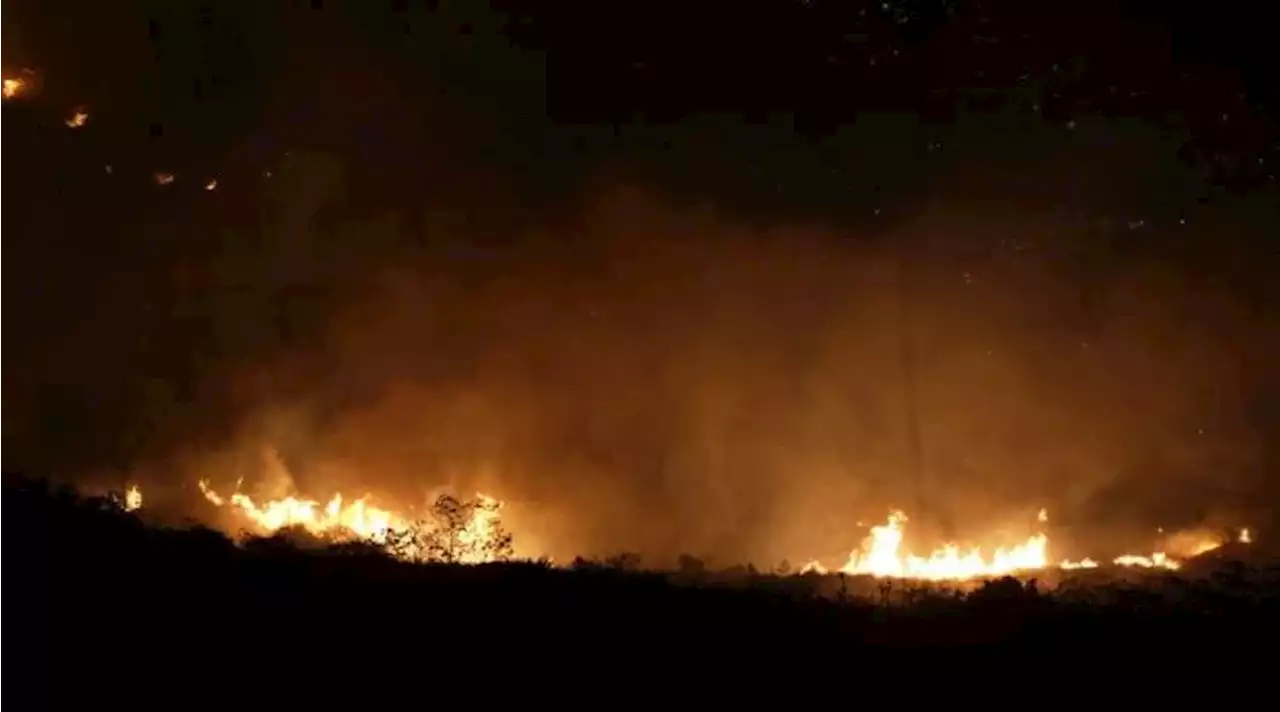 Grave situación en Cali por voraz incendio en Altos de Menga