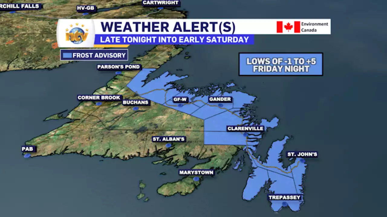 Environment Canada issues Frost Advisory for Friday night for Eastern, Central Newfoundland