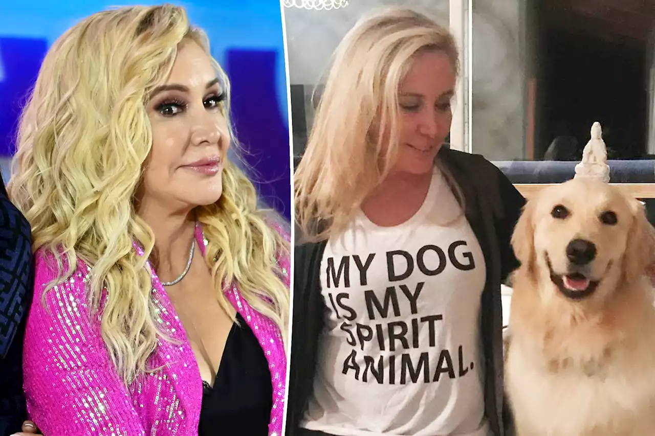 Shannon Beador being investigated by animal control after driving drunk with dog Archie