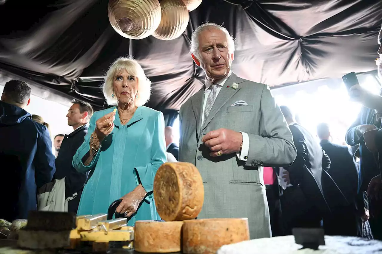 King Charles and Queen Camilla Head to Wine Country to Wrap Visit to France